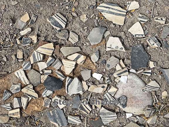 posi sherds 1 graphic
